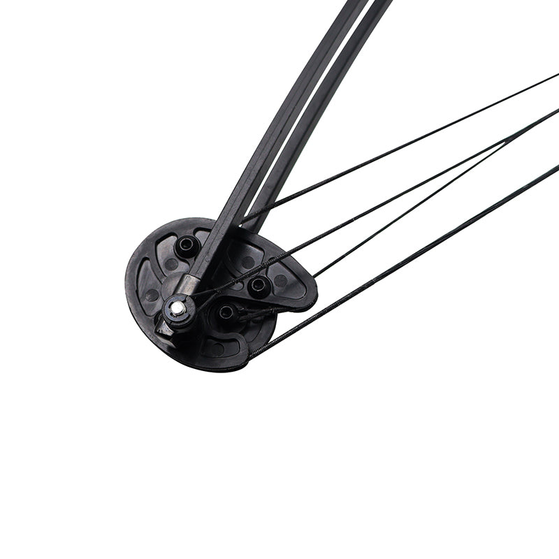 Piaoyu 15lb Compound Bow and Arrow Set FH002