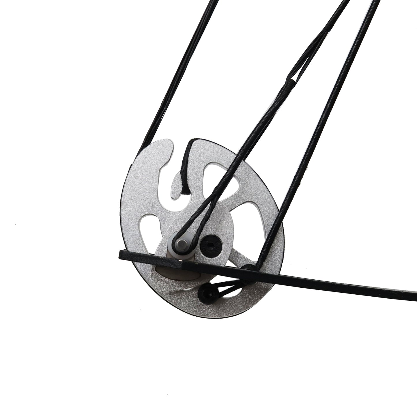 Piaoyu Left- and Right- Handed Compound Bow FH003 - Professional Archery Target Shooting & Hunting