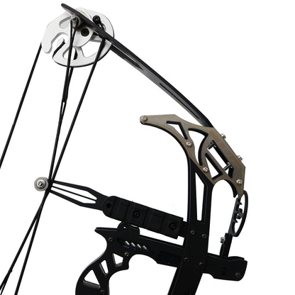 Piaoyu Left- and Right- Handed Compound Bow FH003 - Professional Archery Target Shooting & Hunting